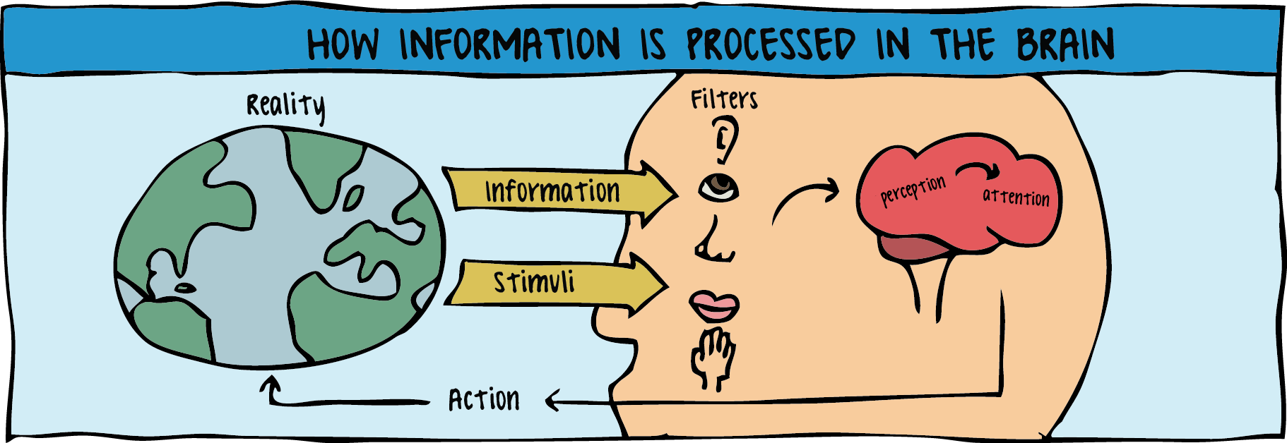 How Information is Processed in the Brain